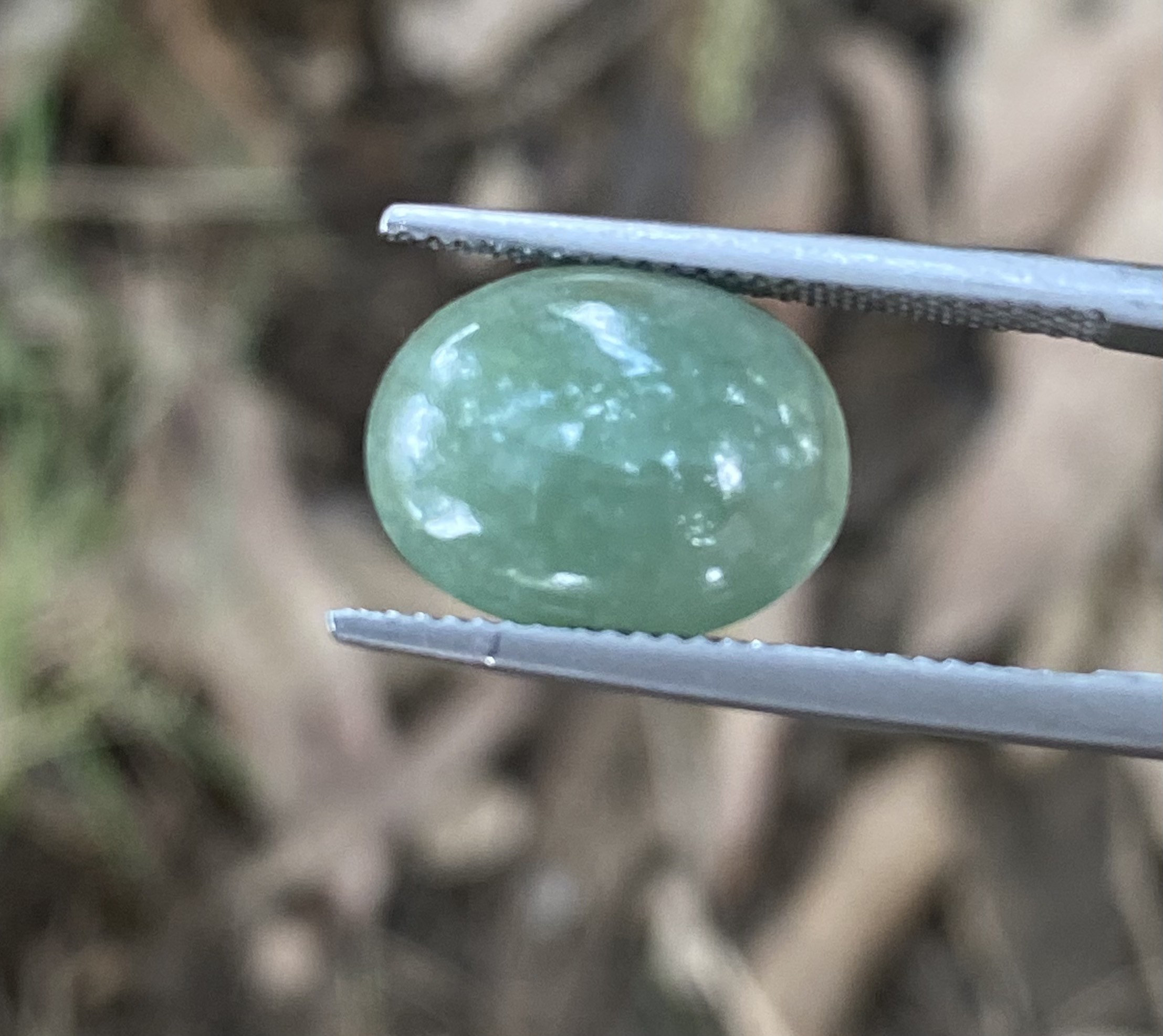 Jadeite Jade Burmese 6.80 Carats Green Grass Jade Jadeite Translucent