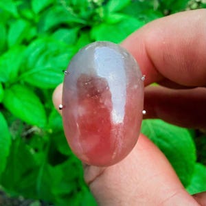 May include: A polished, oval-shaped gemstone with a gradient of colors, transitioning from a translucent, light gray at the top to a deep red at the bottom. Small, silver pins are inserted into the stone. The background is blurred green foliage.
