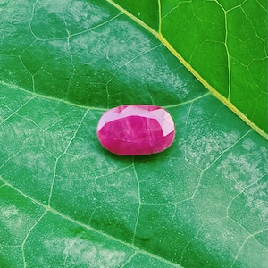 May include: A vivid pink-red ruby gemstone, oval-cut and faceted, rests on a textured green leaf. The gem's polished surfaces catch the light, showcasing its clarity. The leaf's intricate veining provides a natural backdrop, enhancing the ruby's colour.