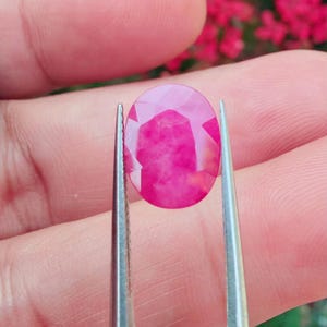 Puede incluir: Una gema de rubí ovalada y facetada sostenida por unas pinzas. El rubí es de un color rojo-rosado vibrante, con patrones internos visibles y reflejos de luz. El fondo está borroso, con toques de flores rosas.