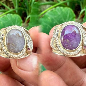 Könnte beinhalten: Zwei silberne Ringe mit Schlangenmotiv. Ein Ring hat einen hellvioletten Stein und der andere einen grauen Stein. Beide Ringe haben kleine rosa Steine an den Seiten.
