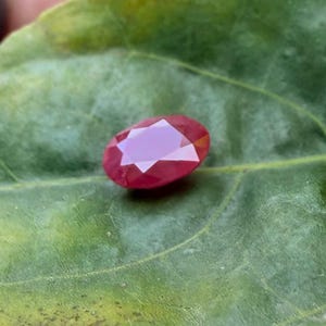Puede incluir: Una gema de rubí facetada, de forma ovalada y color rojo intenso. La gema se encuentra sobre una hoja verde, resaltando su color y claridad. El corte del rubí permite la reflexión de la luz, creando un efecto brillante. Adecuado para joyería.