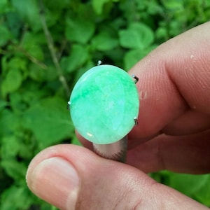 Könnte beinhalten: Ein Ring mit einem runden, hellgrünen Edelstein. Der Edelstein ist ein leuchtendes, durchscheinendes Grün mit polierter Oberfläche. Die Fassung des Rings ist aus silberfarbenem Metall mit vier Krappen, die den Stein halten. Der Hintergrund ist verschwommenes grünes Laub.