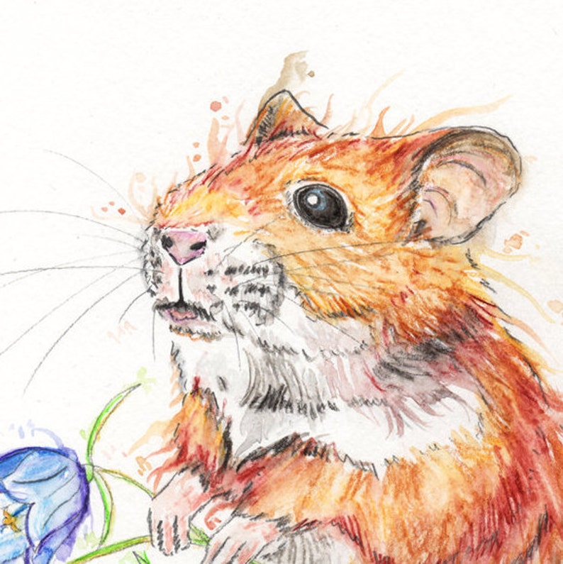 Hamster Art Print / Whimsical Cute Animal / Watercolour ...
