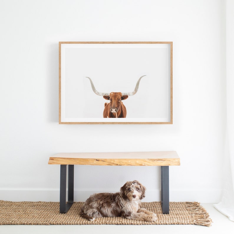 Longhorn Cow Wall Art Digital Download Farmhouse Decor Etsy