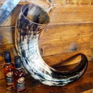 Giant Horns , drinking horns, blowing horns , Gjallarhorn , 3XL, 4XL