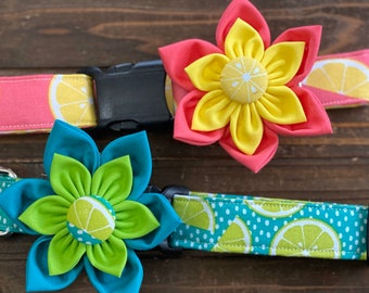 Dog collar, lemons, limes, teal, lime, pink, pink lemonade, lemon dog collar, collar with flower, collar flower, lemon dog collar, key fob