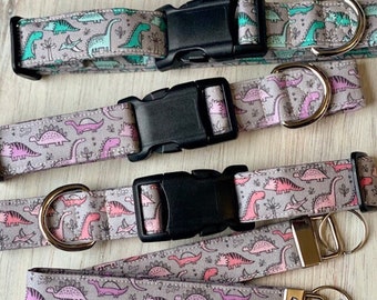 Handmade Dinosaur Dog Collar: T-Rex, Stegosaurus Print