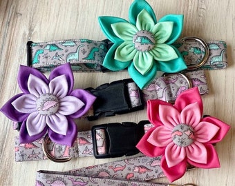 Dinosaur Dog Collar with Detachable Flower