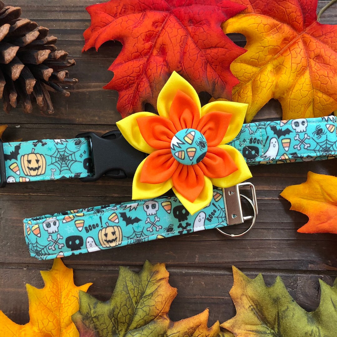Dog Collar Dog Collar With Flower Halloween Dog Collar Key Etsy