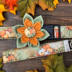 Dog Collar, Collar Flower, Fall Dog Collar, Pumpkin Dog Collar, Thanksgiving dog collar, Pumpkin collar flower, sunflower, plaid