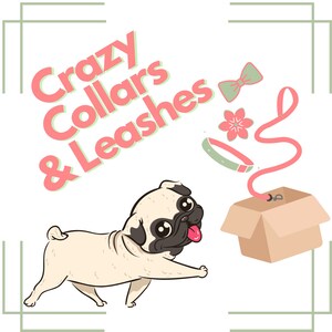 May include: A cartoon pug dog with a pink tongue sticking out is looking at a brown box with a pink leash coming out of it. The text "Crazy Collars & Leashes" is written in pink and green letters on the top left of the image.