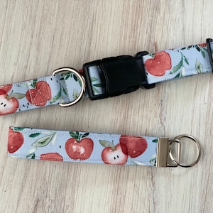 Dog collar, apple dog collar, girl, boy , apples, picnic, apple, apple core, teacher, back to school, watercolor, paint, summer, keychain