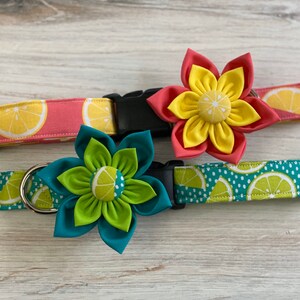 May include: Two dog collars with lemon print fabric and matching fabric flower charms. One collar is pink with yellow lemons and a yellow flower with a red center. The other collar is teal with green lemons and a teal flower with a green center.