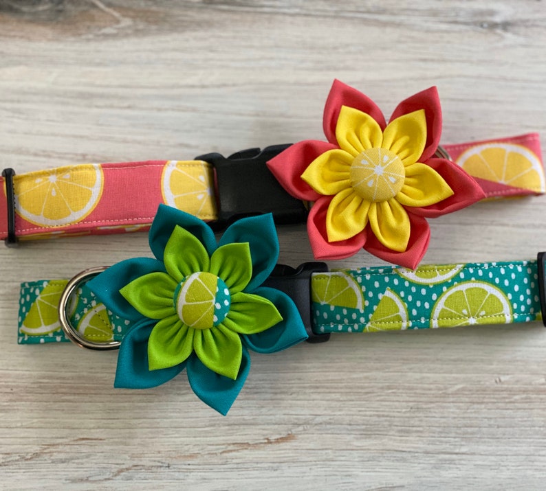 May include: Two dog collars with lemon print fabric and matching fabric flower charms. One collar is pink with yellow lemons and a yellow flower with a red center. The other collar is teal with green lemons and a teal flower with a green center.