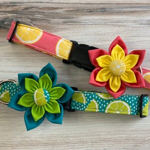 May include: Two dog collars with lemon and lime prints and matching flower charms. The collars are teal and pink with white polka dots. The charms are green and yellow and red and yellow.