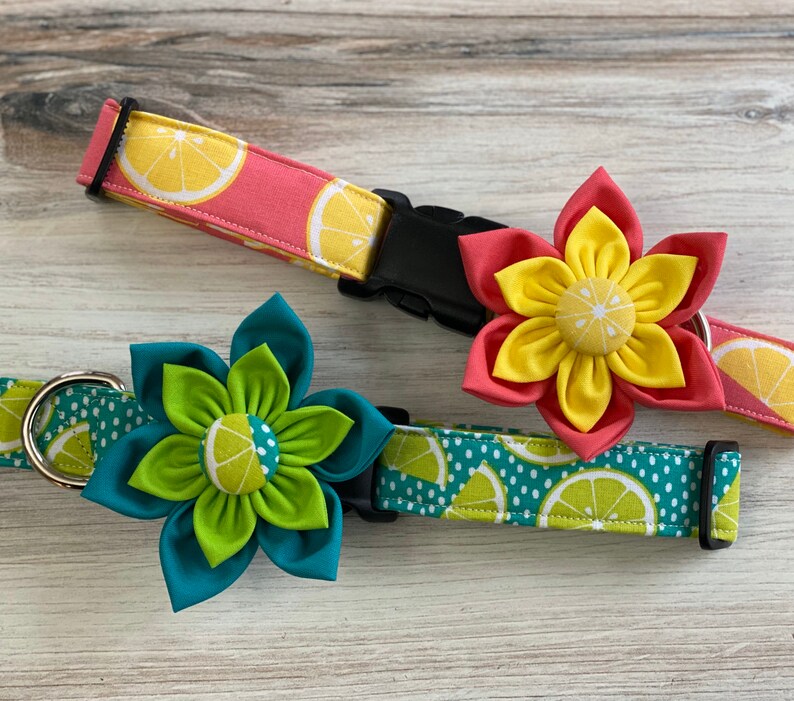 May include: Two dog collars with lemon and lime prints and matching flower charms. The collars are teal and pink with white polka dots. The charms are green and yellow and red and yellow.