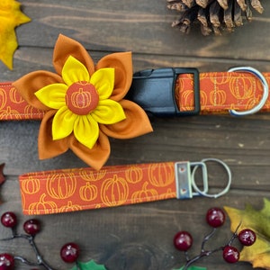 May include: A brown and orange dog collar with a pumpkin print and a matching leash. The collar has a black buckle and a silver D-ring. A yellow flower with a pumpkin button is attached to the collar.