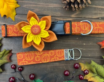 Dog Collar, Collar Flower, Fall Dog Collar, Pumpkin Dog Collar, Thanksgiving dog collar, Pumpkin collar flower, autumn dog collar ,beautiful