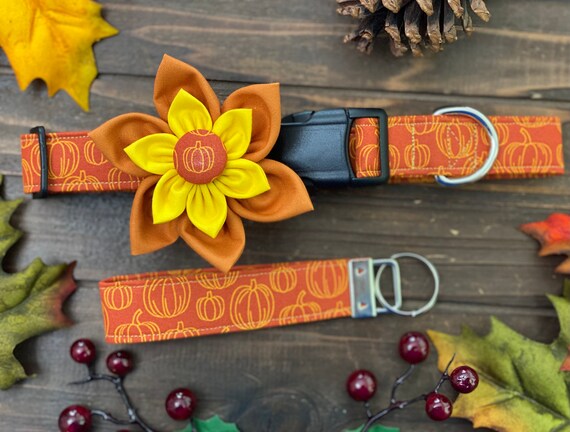 Dog Collar, Collar Flower, Fall Dog Collar, Pumpkin Dog Collar, Thanksgiving dog collar, Pumpkin collar flower, autumn dog collar ,beautiful