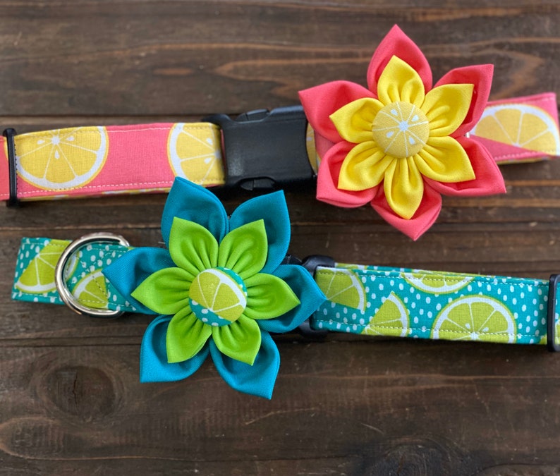 May include: Two dog collars with lemon print fabric and fabric flower attachments. One collar is pink with a yellow flower and the other is teal with a green flower.