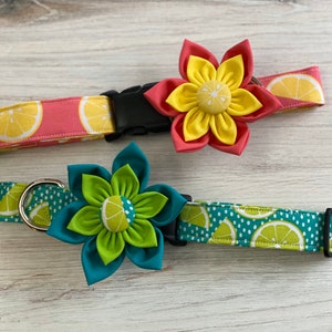 May include: Two dog collars with lemon print fabric and detachable flower embellishments. One collar is pink with yellow flowers and the other is teal with green flowers.