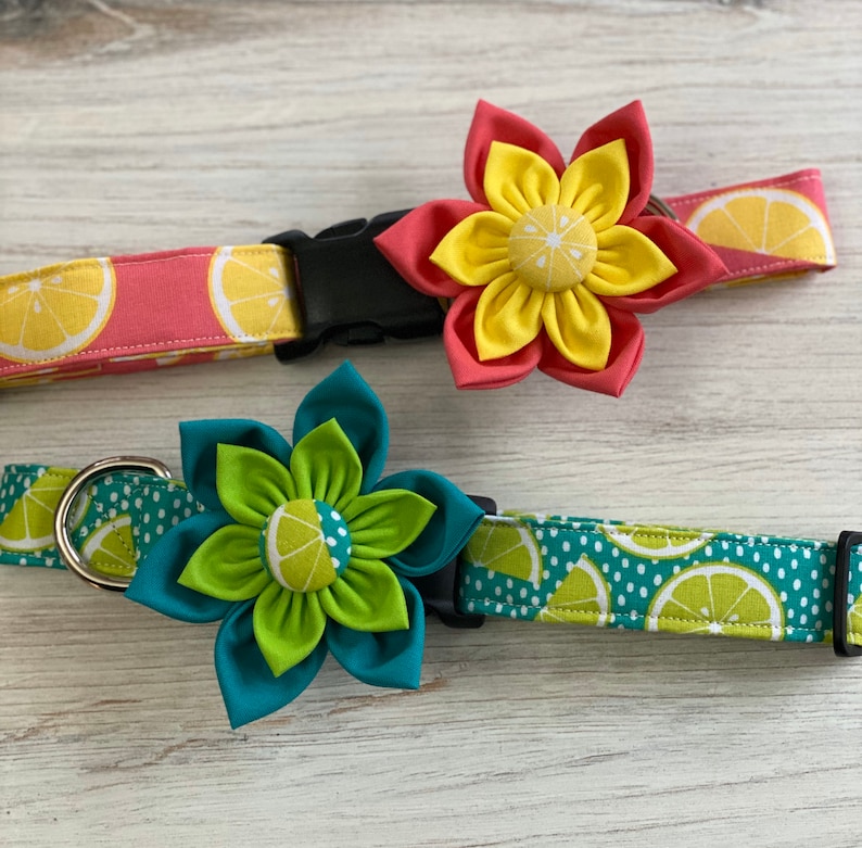 May include: Two dog collars with lemon print fabric and detachable flower embellishments. One collar is pink with yellow flowers and the other is teal with green flowers.