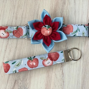 May include: A light blue dog collar and matching keychain with a red apple pattern. A large, decorative flower with red and light blue petals is attached to the collar. The collar and keychain have silver hardware.