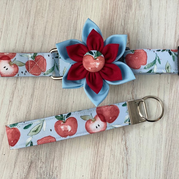 Dog collar, apple, watercolor, blue, baby blue, red apple, apple core, back to school, teacher, collar with flower, collar with bow, key fob