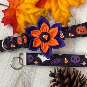 Dog collar, ghost, halloween, ghost dog collar, collar with flower, collar with bow, flower, bow, ghost, skull, bat, pumpkin, keychain image 1