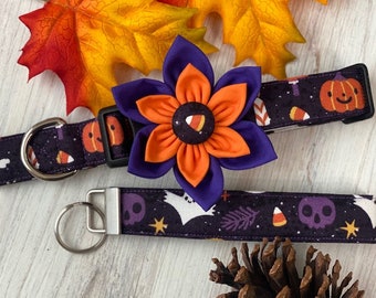 Dog collar, ghost, halloween, ghost dog collar, collar with flower, collar with bow, flower, bow, ghost, skull, bat, pumpkin, keychain