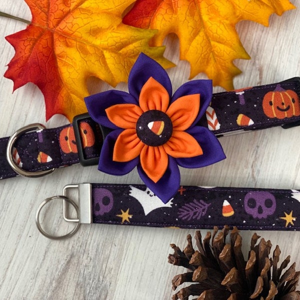 Dog collar, ghost, halloween, ghost dog collar, collar with flower, collar with bow, flower, bow, ghost, skull, bat, pumpkin, keychain