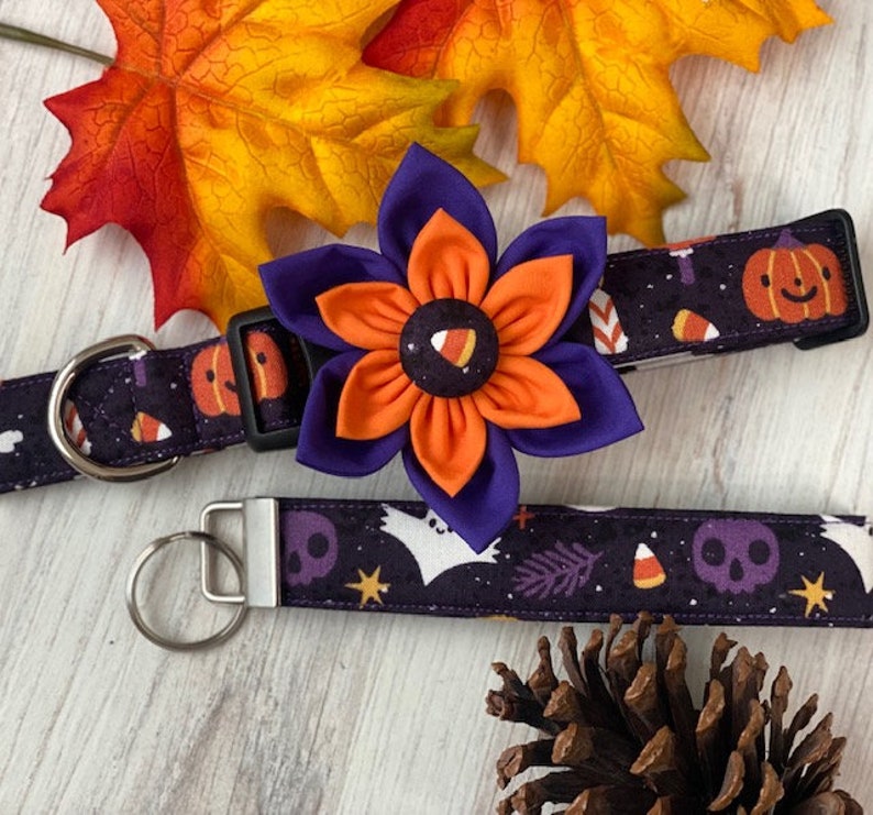 Dog collar, ghost, halloween, ghost dog collar, collar with flower, collar with bow, flower, bow, ghost, skull, bat, pumpkin, keychain image 1