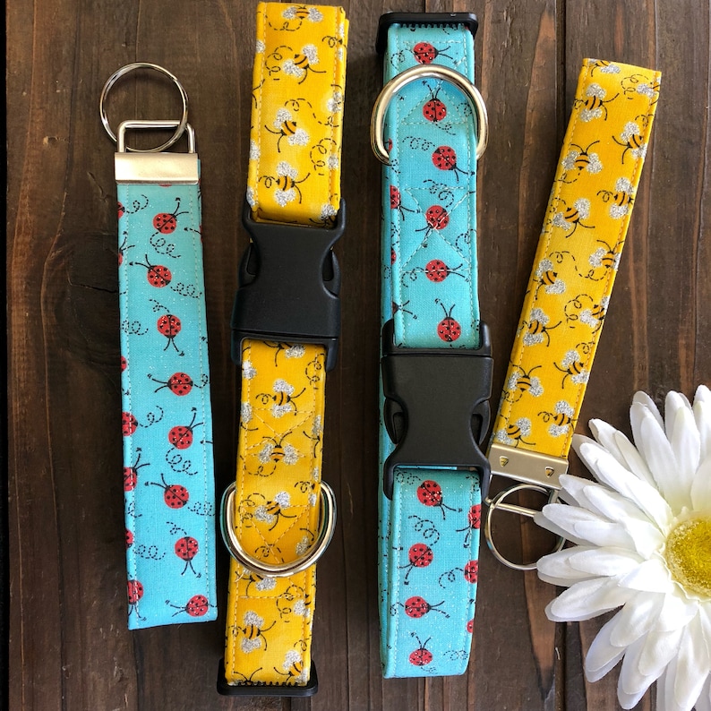 May include: Three dog collars and a key chain with a blue and yellow bee and ladybug print. The collars are adjustable and have a buckle closure. The key chain has a metal ring.