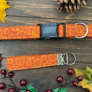 May include: A brown and orange dog collar and leash with a pumpkin pattern. The collar has a black plastic buckle and a silver metal D-ring. The leash has a silver metal clip and a silver metal ring.