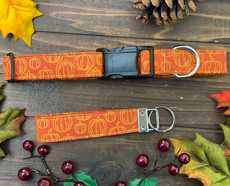 May include: A brown and orange dog collar and leash with a pumpkin pattern. The collar has a black plastic buckle and a silver metal D-ring. The leash has a silver metal clip and a silver metal ring.