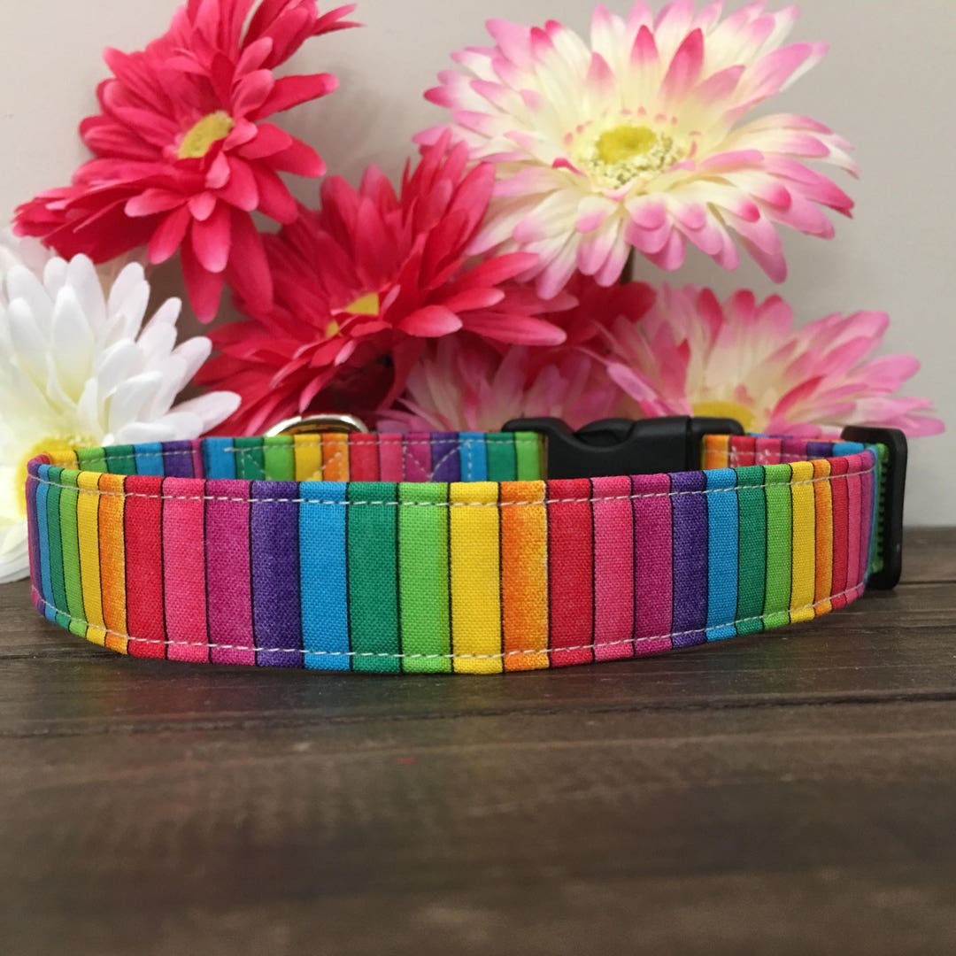Rainbow Dog Collar, Dog Collar, Fun Dog Collar, Spring Dog Collar