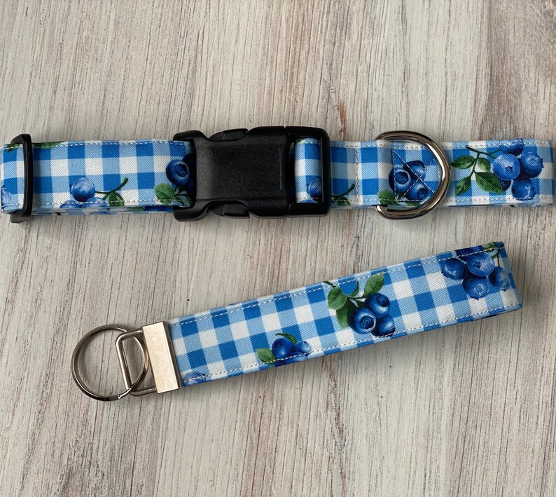 May include: Blue and white gingham dog collar and matching lead with a blueberry print.