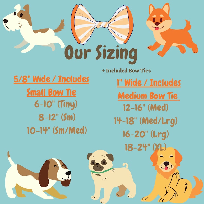 Op de afbeelding: Een grafiek met maten voor hondenstrikken met illustraties van honden die strikken dragen. De grafiek bevat halsmaten in inches voor zowel kleine als middelgrote strikken. De tekst luidt "Our Sizing" en "+ Included Bow Ties".