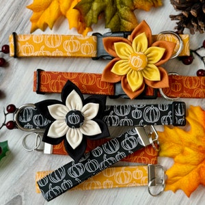 May include: Five different dog collars with pumpkin and fall-themed fabric patterns. The collars are decorated with fabric flowers in shades of yellow, orange, and white.