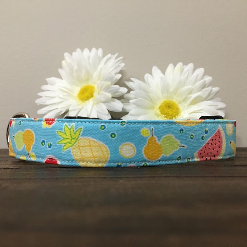 Dog Collar Watermelon Dog Collar Watermelon Collar Etsy
