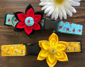 Ladybug Dog Collar with Detachable Flower