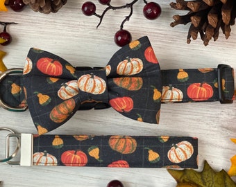 Dog Collar, bow tie, Fall, autumn, halloween, dog , Thanksgiving dog collar, Fall bow tie, autumn ,pumpkin, collar with bow, halloween