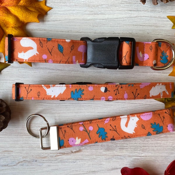 Dog collar, squirrel, woodland, rabbit, bunny, leaves, fall, orange, birds, pink, blue, sale, key fob, keychain