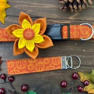 May include: A brown and orange dog collar with a pumpkin print and a matching key chain. The collar has a black buckle and a silver D-ring. A yellow and orange fabric flower is attached to the collar.