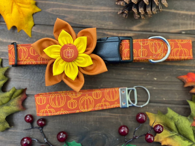 May include: A brown and orange dog collar with a pumpkin print and a matching key chain. The collar has a black buckle and a silver D-ring. A yellow and orange fabric flower is attached to the collar.