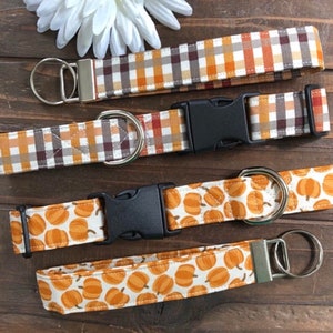 dog collar, thanksgiving dog collar, autumn dog collar, pumpkin, pumpkin dog collar, halloween dog collar, halloween , pumpkins, pet collar image 2