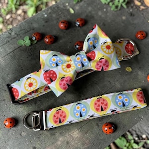 May include: A dog collar and bow tie set with a colourful ladybug pattern. The collar and bow tie feature a white background with red, blue, and pink ladybirds, yellow flowers, and green circles. The set includes a metal D-ring and buckle.