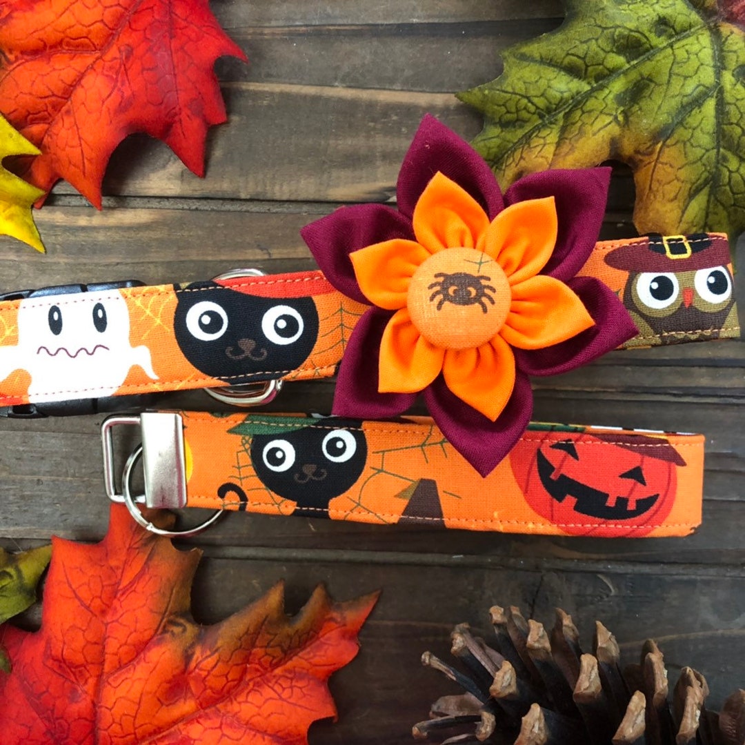 Dog Collar Halloween Dog Collar Ghost Dog Collar Black Cat Etsy