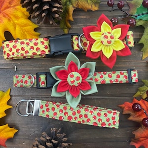 Dog collar, apple, apples, green, yellow , fall, Collar flower, flower , dog bow, collar bow, key chain, key fob, dog collar, apple collar